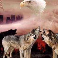 Joshua Farmer Photo 37