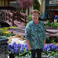 Carol Wolfe Photo 14