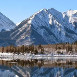 Stuart Kirk Photo 10