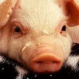 Bertha Jenkins Photo 10