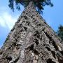 Debra Krueger Photo 30
