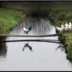 Mildred Wood Photo 13