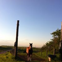 Sharon Macphail Photo 5