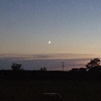 Tracy Spires Photo 18