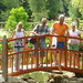 Robin Hill Photo 26