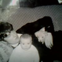 David Norman Photo 28