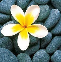 Carla Buchanan Photo 34