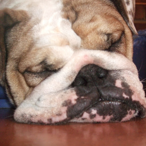 Fred Hawkins Photo 8 Fred Hawkins Photo 8