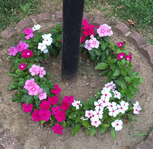 Jenny Bennett Photo 18