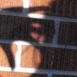 Lynn Anders Photo 14