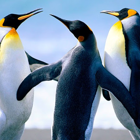 Javier Carreon Photo 7