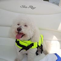 Rosemarie Keating Photo 6