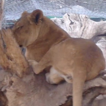 Natalio Robles Photo 1