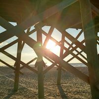 Mark Siegrist Photo 11