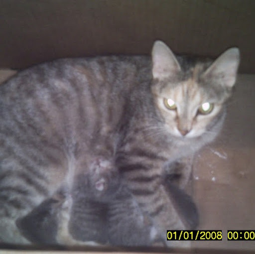 Kristie Anderson Photo 20