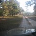 Julie Downs Photo 16