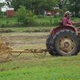 Nancy Abell Photo 12