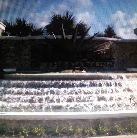 Debbie Ritter Photo 32