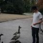 Andrew Park Photo 37