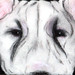 Debra Whiting Photo 21