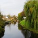 David Spalding Photo 16