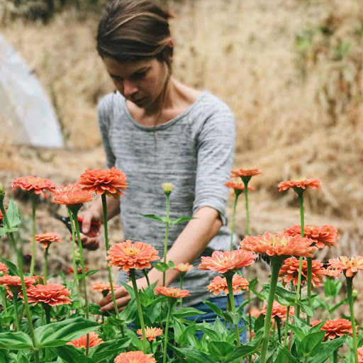 Sarah Carpenter Photo 42