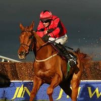 Steven Wylie Photo 26