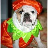 Deborah Funderburk Photo 8