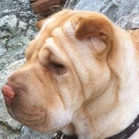 Stephen Hathaway Photo 25