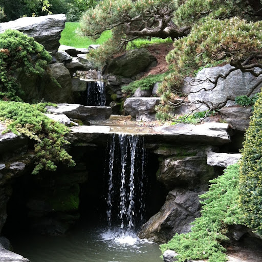 Stephanie Field Photo 8