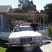 Tony Noce Photo 8