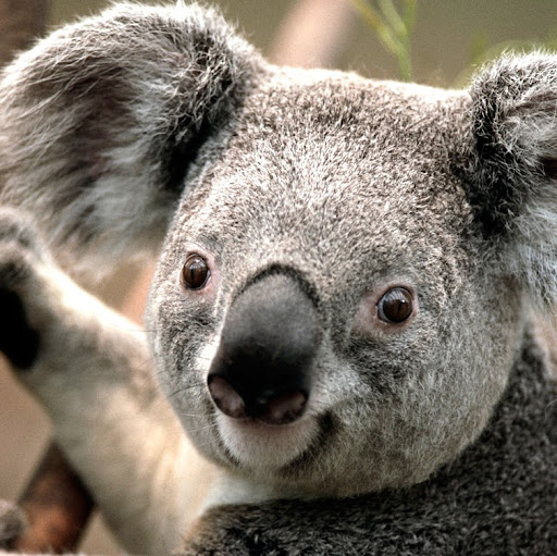 Daniel Waters Photo 49