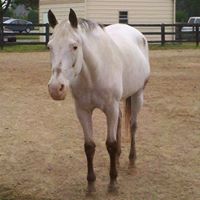 Rebecca Mallory Photo 16