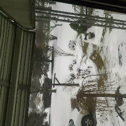 Ruth Winters Photo 8