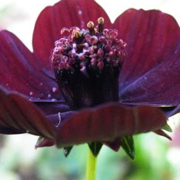 Geraldine Walker Photo 10