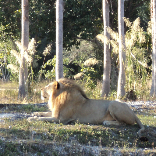 Craig Meredith Photo 19