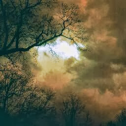 Jason Mulholland Photo 19