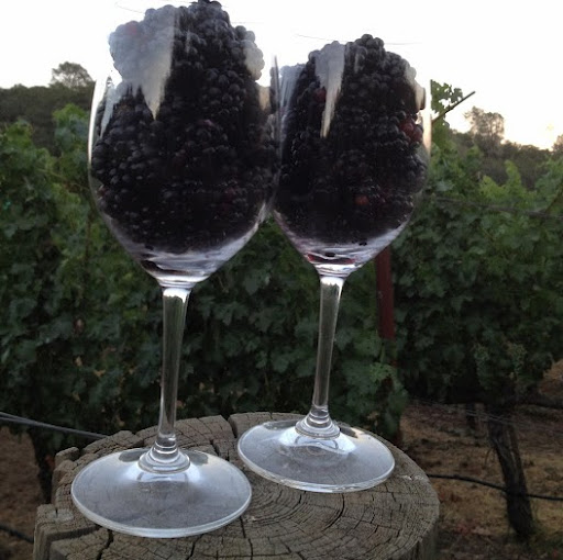 Charles Starr Photo 17