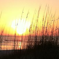 Howard Robinson Photo 29