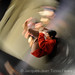 Suzanne Carpenter Photo 18