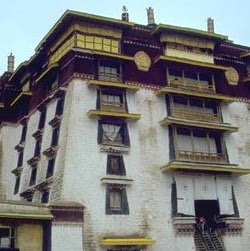 Cynthia Jacobson Photo 26