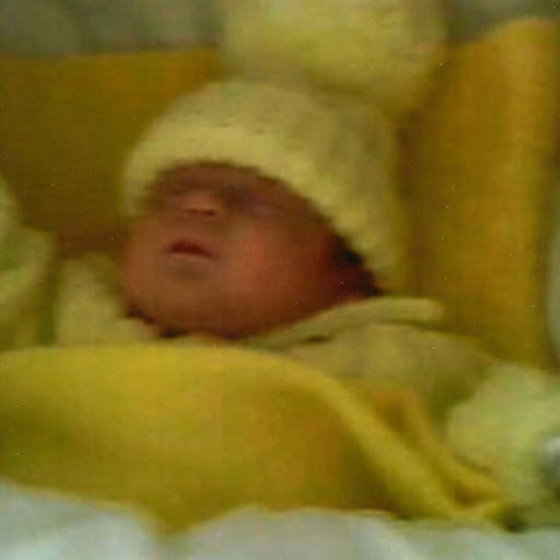 Paula Gilmore Photo 28