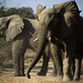 Michael Hutchens Photo 17