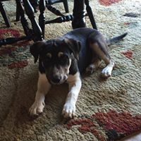 Steffanie Fitzpatrick Photo 5