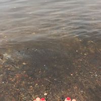 Michelle Delaney Photo 22