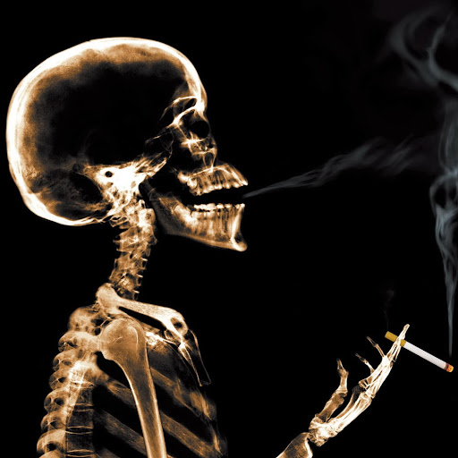 Brenda Thurman Photo 20