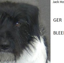 Kevin Horan Photo 45