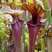 Don Schnell Photo 10