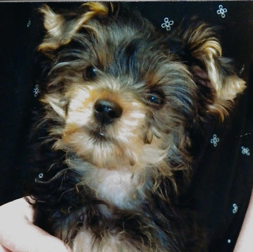 Julie Riley Photo 27