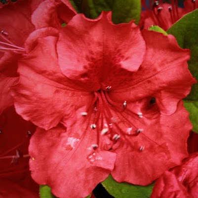 Judith Warren Photo 34